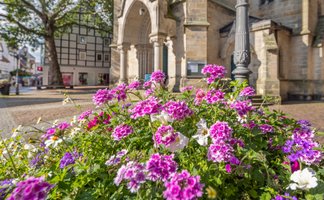 Das Bild zeigt bunte Blumen vor der St. Jakobi Kirche in Peine. 