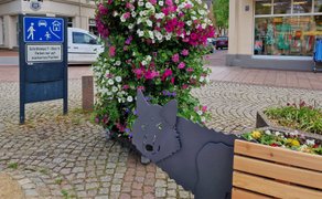 Das Bild zeigt einen Teil einer Holzbank auf dem Historischen Marktplatz in Peine mit einem stilisierten Wolf aus Stahl, vor einem bunten Blumenpod. 