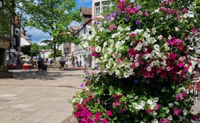 Großflächige Blumenpods mit üppigen Blüten in der Peiner Innenstadt, die Stadtgrün, Aufenthaltsqualität und lebendiges Stadtleben sichtbar machen.