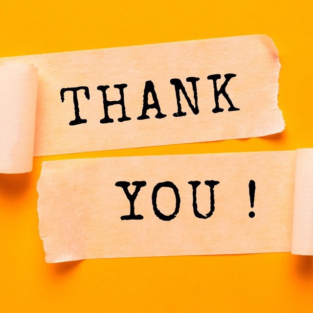 Zwei Papierstreifen auf gelbem Hintergrund mit der aufgedruckten Aufschrift „THANK YOU!“, dekorativ angerollt und mittig angeordnet.