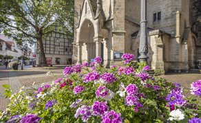 Bunte Blumenpods mit blühenden Frühlingspflanzen vor der St.-Jacobi-Kirche in Peine, die das lebendige und gepflegte Stadtbild der Innenstadt zeigen.