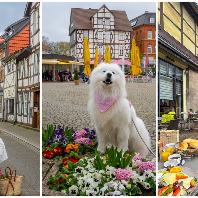 Influencerin mit Hund in der Peiner Innenstadt vor Fachwerkhäusern, Marktplatz und Café-Szene als authentisches Stadtleben und modernes Stadtmarketing in Peine