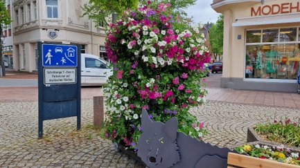 Das Bild zeigt bunte Blumen hinter einer Künstlerbank auf dem Historischen Marktplatz in Peine. 