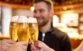 Bierverkostung mit Härke Bier in Peine – genussvolle Themen-Stadtführung zur Brauereigeschichte und Bierkultur in Peine.