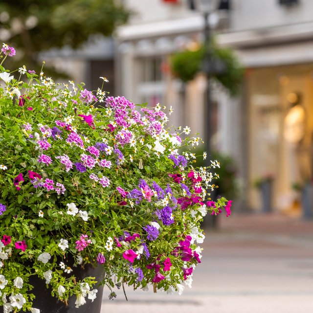 Das Bild zeigt eine Blumendekoration in der Peiner Innenstadt.