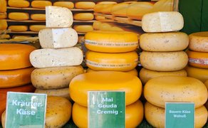 Mehrere große runde Käselaibe verschiedener Sorten, gestapelt auf einem Marktstand mit grünen Schildern „Kräuter Käse“, „Mai Gouda Cremig“ und „Bauern-Käse Walnuß“