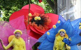 Bunt kostümierte Künstlerinnen als große Blumenfiguren bei einer Straßenveranstaltung in Peine, mit auffälligen Blütenblättern in Pink, Blau und Rot.