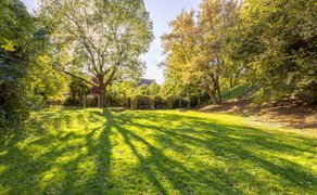 Eine große Rasenfläche wird von hohen Bäumen umgeben. Die Sonne scheint durch die Baumkronen und wirft lange Schatten auf das Gras. Im Hintergrund sind Sitzbänke, eine Pergola und eine Treppe zu sehen.