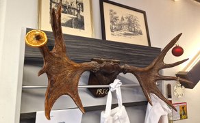 Mit Weihnachtskugel, Orangenscheibe und hölzerner Schneeflocke geschmücktes Geweih an einer Wand.