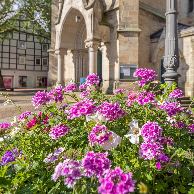 Das Bild zeigt bunte Blumen vor der St. Jakobi Kirche in Peine. 