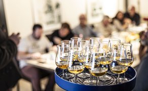 Whisky Tasting im Schwan Peine mit stilvoll angerichteten Gläsern, die zur gemeinsamen Whiskyverkostung einladen. In entspannter Atmosphäre wird das Whisky Event in Peine zum genussvollen Erlebnis für Kenner und Einsteiger.
