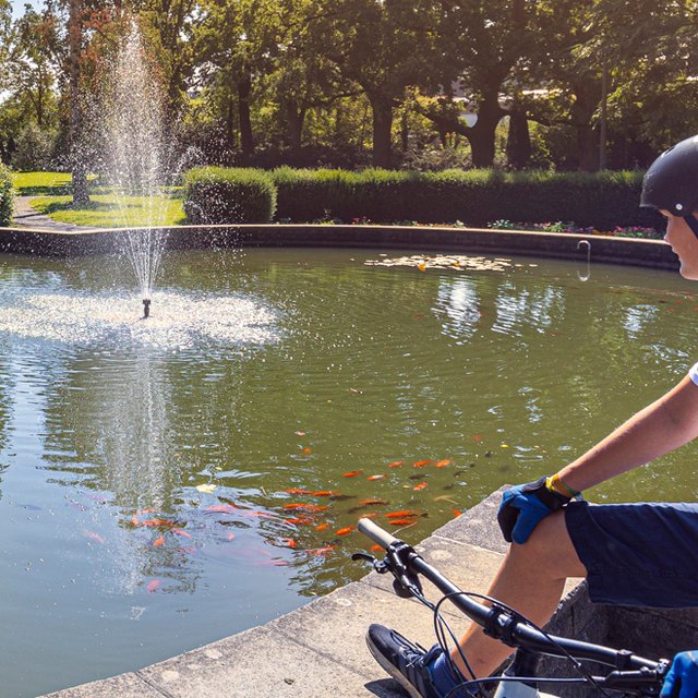 Das Bild zeigt einen Jungen auf einem Fahrrad am Teich im Stadtpark Peine. 