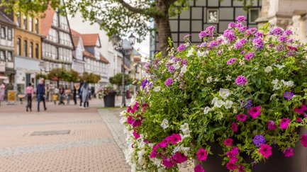 Das Bild zeigt bunte Blumen in der Peiner Innenstadt, vor der St. Jakobi Kirche. 