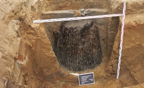 Archäologische Ausgrabung mit freigelegtem Baumstamm in Erdgrube und Messlatten zur Größenbestimmung.