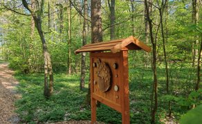 Interaktive Holzstation am Heimatkulturpfad Schmedenstedt entlang eines Waldwegs im Südholz. Zwischen hohen Bäumen lädt die naturpädagogische Station zum Entdecken und Mitmachen inmitten des frühlingshaften Waldes ein.