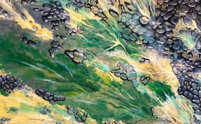 Abstraktes Kunstwerk mit kräftigen Grün-, Gelb-, Blau- und Schwarztönen, die in fließenden Strukturen ineinander übergehen.