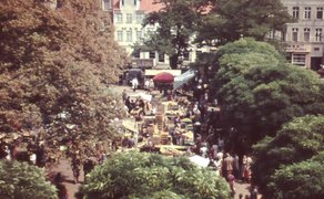 Historische Farbaufnahme des Wochenmarktes auf dem Marktplatz in Peine. Zwischen großen Bäumen sind zahlreiche Marktstände und Besucher zu sehen, im Hintergrund stehen Gebäude der Innenstadt.