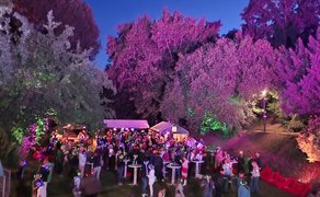 Das Bild zeigt tanzende Menschen im Burgpark in Peine im Discolicht bei der Silent Music Party in Peine. 