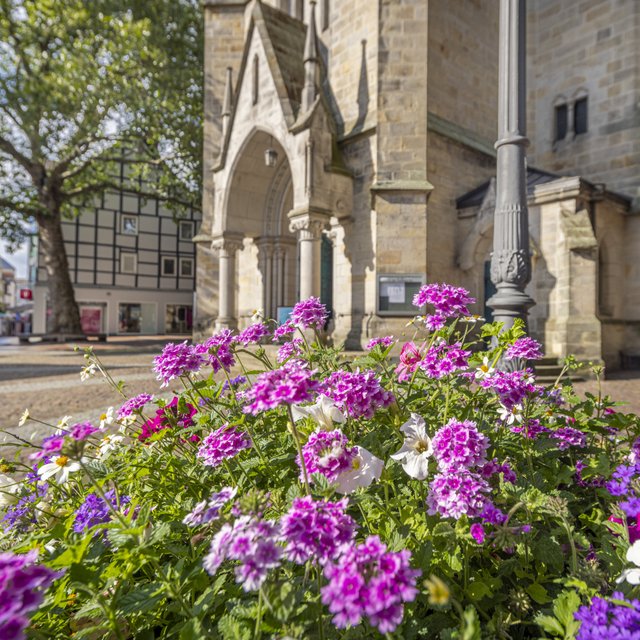 Bunte Blumenpods mit blühenden Frühlingspflanzen vor der St.-Jacobi-Kirche in Peine, die das lebendige und gepflegte Stadtbild der Innenstadt zeigen.