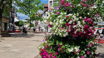 Das Bild zeigt einen bunten Blumenpod in der Innenstadt von Peine. 