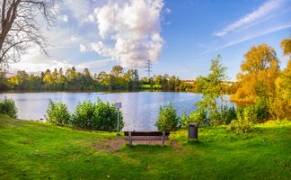 Das Bild zeigt den See im Heywoodpark in Peine, der auch Schwanensee genannt wird. Im Vordergrund ist eine Rasenfläche und dahinter der See. 
