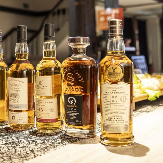 Auswahl hochwertiger Single-Malt-Whiskys bei einem Whisky-Tasting im Schwan Peine, arrangiert auf einem gedeckten Tisch zur Verkostung. Die Whiskyverkostung in Peine steht für genussvolle Events und kulinarische Erlebnisse im historischen Schwan.