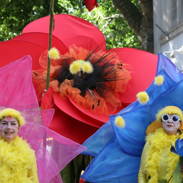 Bunt kostümierte Künstlerinnen als große Blumenfiguren bei einer Straßenveranstaltung in Peine, mit auffälligen Blütenblättern in Pink, Blau und Rot.