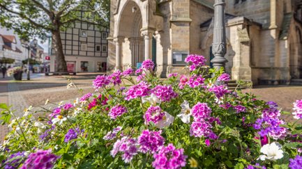 Das Bild zeigt bunte Blumen vor der St. Jakobi Kirche in Peine. 