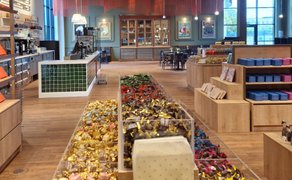 Der Verkaufsraum im Rausch Schokoladenhaus Peine zeigt eine große Auswahl fein verpackter Schokolade und Süßwaren, übersichtlich präsentiert in der modernen Chocolaterie. Das Bild steht für Genuss in Peine und verbindet Café-Atmosphäre mit hochwertiger Schokoladenkultur.