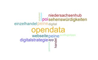 Visualisierte Wortwolke zu Open Data in Peine mit Begriffen wie Digitalstrategie, Webseite, App, Einzelhandel, Sehenswürdigkeiten und Niedersachsenhub.