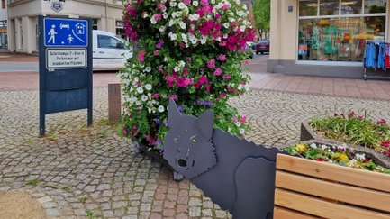 Das Bild zeigt einen Teil einer Holzbank auf dem Historischen Marktplatz in Peine mit einem stilisierten Wolf aus Stahl, vor einem bunten Blumenpod. 