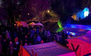 Besucher erleben den Winterzauber in Peine mit Lichtshow im stimmungsvoll beleuchteten Burgpark bei Nacht.