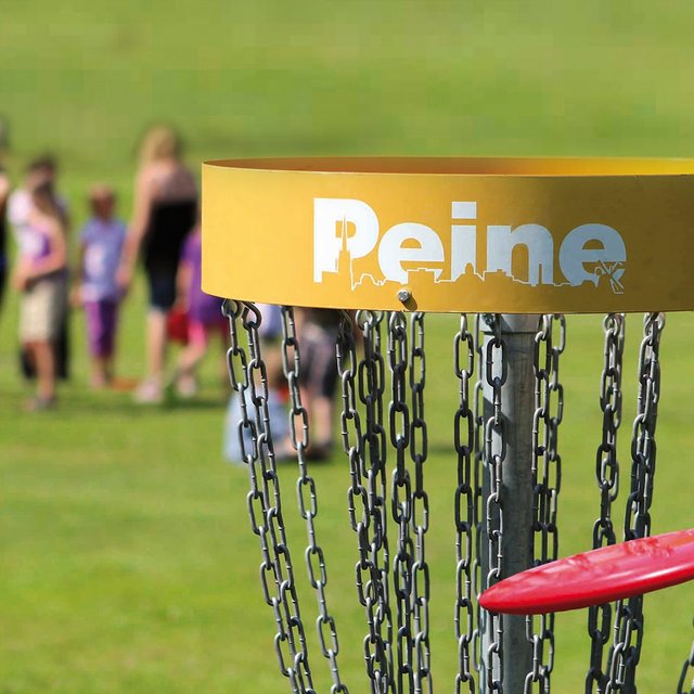 Das Bild zeigt einen Discgolfkorb am Schwanensee in Peine. 