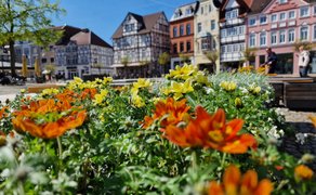 Bunte Blumenbeete der StadtOase auf dem Historischen Marktplatz in Peine. Im Vordergrund blühen gelbe und orangefarbene Blumen, im Hintergrund sind Fachwerkhäuser, Sitzflächen und die Innenstadt zu sehen.