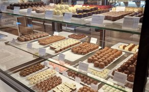 In der Auslage des Rausch Schokoladenhauses Peine präsentiert sich eine große Auswahl handgefertigter Pralinen und Schokoladenspezialitäten, übersichtlich arrangiert in der Chocolaterie. Die Aufnahme steht für Genuss in Peine und zeigt die Vielfalt hochwertiger Süßwaren und Schokolade im Café- und Genussbereich.