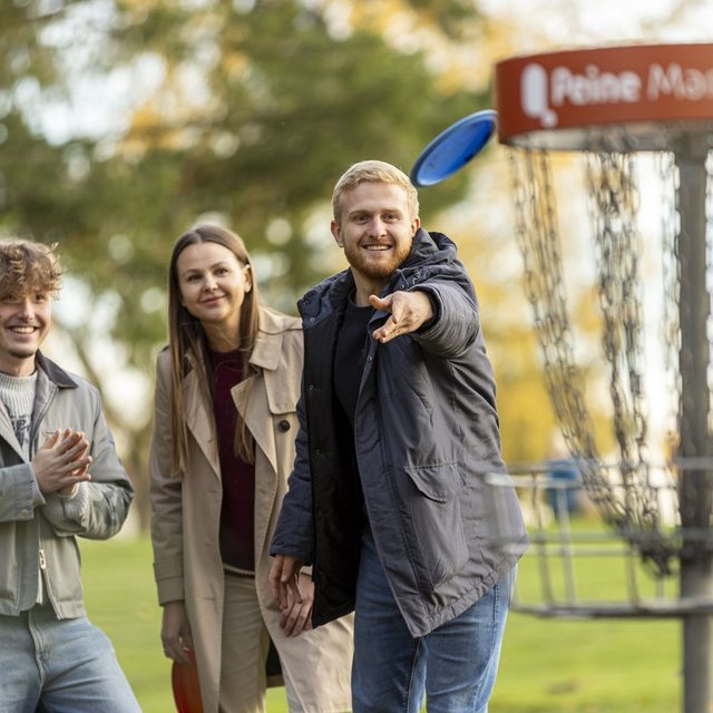 Drei junge Erwachsene spielen Discgolf im Grünen in Peine und werfen eine Frisbee-Scheibe auf einen Discgolf-Korb.