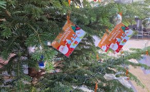 Tannenzweige mit mehreren bunten Wunschkarten, darauf Weihnachtsmann, Geschenke und der Text 'Weihnachts Wunsch'.