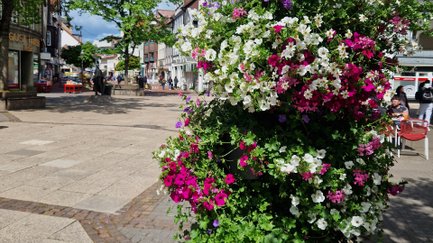 Das Bild zeigt im Vordergrund einen bunten Blumenpod in der Peiner Innenstadt. Dahinter ist ein Blick in die City geworfen. 