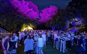 Große Menschenmenge bei einer Silent Disco im Park bei Nacht, mit bunten Funkkopfhörern, Stehtischen und violett sowie blau beleuchteten Bäumen über dem Veranstaltungsgelände in Peine.