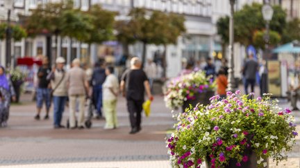 Große bepflanzte Blumenkübel mit pinken, weißen und violetten Blumen in der Peiner Fußgängerzone. Im unscharfen Hintergrund sind Passanten zu sehen, die durch die Innenstadt zwischen Geschäften und Bäumen flanieren.