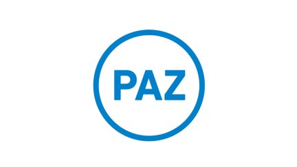 Das Bild zeigt das Logo der Peiner Allgemeinen Zeitung. 