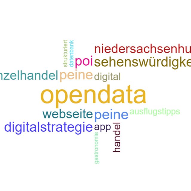 Visualisierte Wortwolke zu Open Data in Peine mit Begriffen wie Digitalstrategie, Webseite, App, Einzelhandel, Sehenswürdigkeiten und Niedersachsenhub.