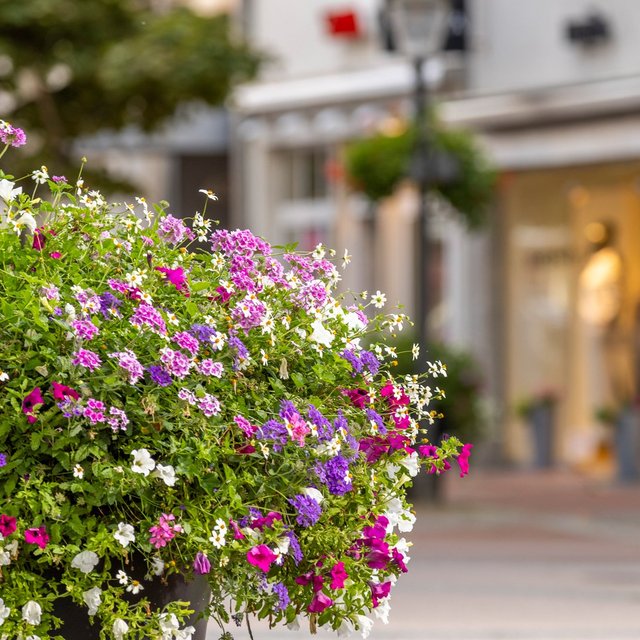 Blumenkübel mit üppig blühenden, bunten Sommerblumen in einer Innenstadtstraße, im Hintergrund unscharf Schaufenster und Gebäude.