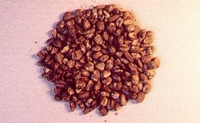 Fundstücke aus vergangenen Zeiten im historischen Schwan Peine zeigen ausgewählte Objekte und Materialien, die Einblicke in die Nutzungsgeschichte des Gebäudes und den Alltag früherer Epochen geben. Die Exponate dokumentieren bauliche Entwicklungen, frühere Funktionen sowie kulturelle und gesellschaftliche Aspekte des Ortes.