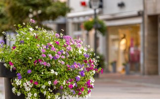 Blumenkübel mit üppig blühenden, bunten Sommerblumen in einer Innenstadtstraße, im Hintergrund unscharf Schaufenster und Gebäude.