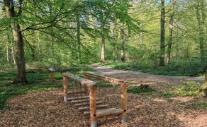 Kleine Holzbrücke mit Kettenelementen inmitten eines grünen Laubwaldes. Ein naturbelassener Wanderweg führt durch das sonnige Waldgebiet des Heimatkulturpfads Schmedenstedt.