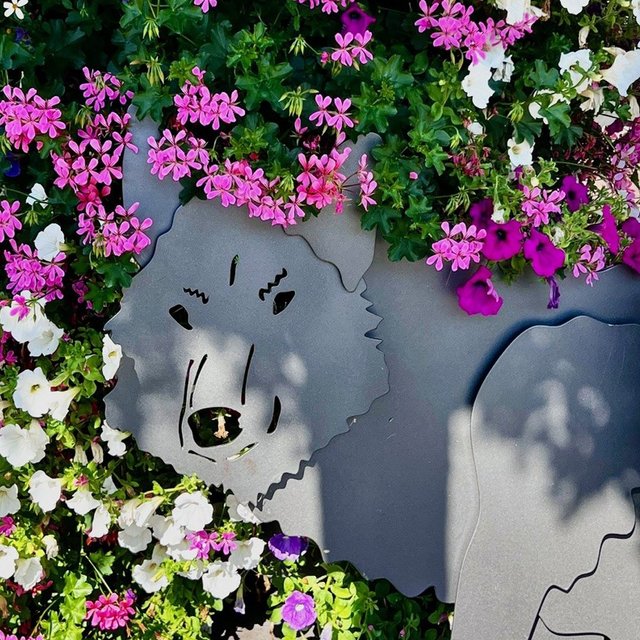 Das Bild zeigt bunte Blumen hinter einer Künstlerbank, die einen Wolf zeigt, auf dem Historischen Marktplatz in Peine. 