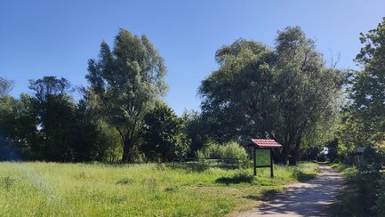 Das Bild zeigt eine grüne Rasenfläche mit Pflanzen und Baumen und einen Pfad, genannt der Pfad der Sinne in Peine. 