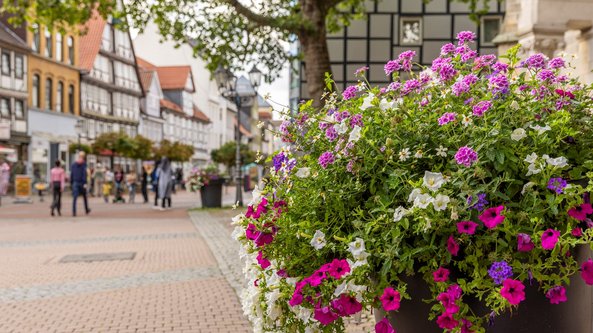 Das Bild zeigt bunte Blumen in der Peiner Innenstadt, vor der St. Jakobi Kirche. 