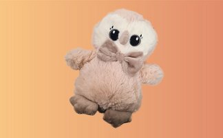 Das Bild zeigt eine Plüschtier-Eule. 